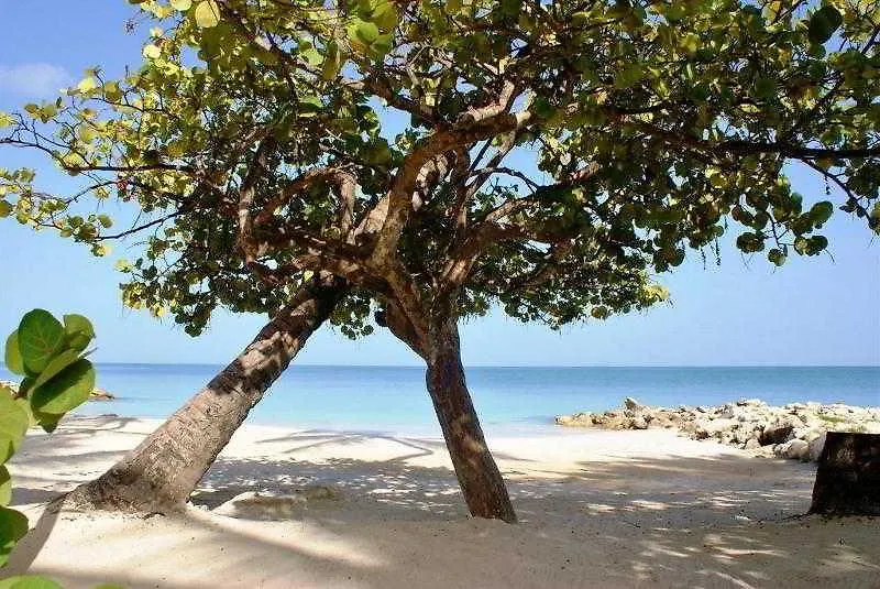 Siboney Beach Club St. John's 4*,  Antigua und Barbuda