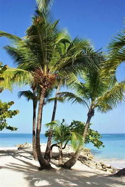 Siboney Beach Club St. John's Resort
